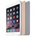 Apple Ipad Mini 3 16GB 4G — ảnh 3