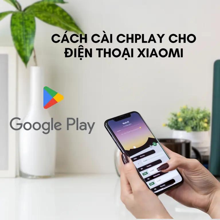 Hướng dẫn cài đặt CH Play trên Xiaomi Rom China