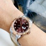 ĐỒNG HỒ NAM I&W Carnival 8131G  Dây Thép Demi - Mặt Nâu - Automatic - Kính Sapphire — ảnh 6