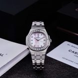 z7592533988801_8d11387b64778c76a826e314435bf345