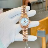 z7731499253841_d72e5f9a99886ed858c90ef20a637c08